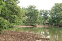 Aji fruit farm cottage peaceful lakeside farm stay with sunrise views 01 - Bed and Breakfast Embilipitiya