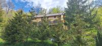Cabana Teo - B&B Valea Ierii