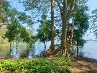 Aji fruit farm cottage peaceful lakeside farm stay with sunrise views 04 - B&B Embilipitiya