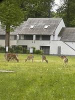 Hengelhoef Acacia 3 - Ferienwohnung Drijhoeven