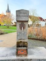 Premium Apartment 90qm Zentrum Süd-Balkon - Bed and Breakfast Bad Lippspringe
