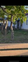 Cheber Guest House - Ferienwohnung Kavak