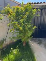 Studio Tirana Apartments - B&B Tirana