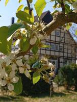 Zwischen Acker und Herz Hartmannshof - B&B Algermissen