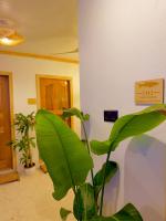 Serene Dhigurah - B&B Dhigurah
