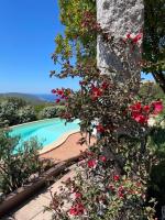 Sea Sky Villa with private pool - B&B Costa Paradiso