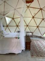 Tenda