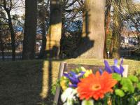 Kaiservillen Heringsdorf - Ferienwohnung mit 1 Schlafzimmer und Terrasse D102 - Chambres d'hôtes Heringsdorf