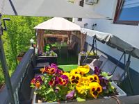 Guesthouse Jelena - Chambres d'hôtes Višegrad
