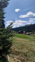 Villa Filiak - B&B Yablunytsia