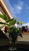 Appartement entier, calme, confortable et spacieux - B&B Gundershoffen