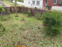 Haus Schiermonnikoog - B&B Juist