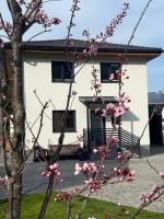 River Lilly Apartment - B&B Obertraun
