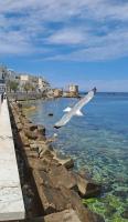 Appartamento Ligny fronte mare - Ferienwohnung Trapani