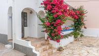 Quinta do Coala - Spacious Countryside Orchard House & Cottage, 10 min from Lagos - Bed and Breakfast Lagos