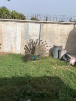 Sumanya Guest House 1 - Bed and Breakfast Sukuta