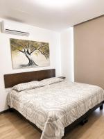 Aluna Executive Apartment - Bed and Breakfast Monterrey