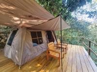 Tent with Forest View