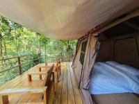 Tent with Forest View