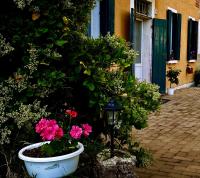 Agriturismo Corte Filippi - Ferienwohnung Villadose