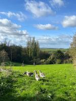 Le Clos d'Hydrequent - Ferienwohnung Rinxent