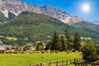 Finestra dell'Adda - casetta con giardino - Ferienwohnung Bormio