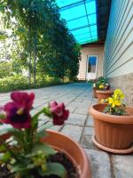 Arzu Guesthouse - B&B Ak-Say