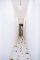 Wild Studio 1993 - B&B Santa Cruz de Tenerife