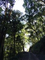 Chambre Double - Vue sur Montagne
