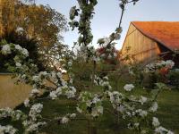 Zwischen Acker und Herz Hartmannshof - B&B Algermissen
