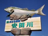 民宿 とうの浜 - B&B Yasuda