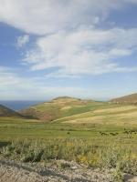 Maison ras angela - Bed and Breakfast Bizerte