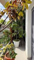 Cozy, bright nest with stunning views of Cocody - B&B Abidjan