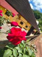 Pousada Vista da Mantiqueira - Chalés Sabiá, Beija-Flor e Siriema - B&B Extrema