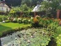 Apartamenty Małgosia - B&B Muszyna