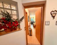 Dolomites Soundscape - Birds River Snow Ski Bus Bike Hike - B&B Alleghe
