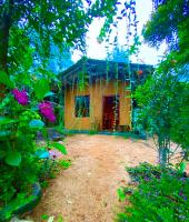 Serendib House - River View Jungle Stay Near Sinharaja Kudawa Gate - B&B Kalawana