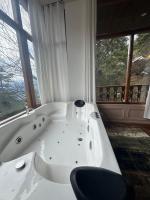 The Swayambhu Hamta - B&B Manali