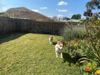 Charming 2-Bedroom House Rental in Scenic Dullstroom - B&B Dullstroom