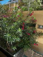 Appartement en bord de mer - Nice zone piétonne - Ferienwohnung Nizza
