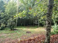 Quinta Do Castermo - Ribeira 4 personnes - Ferienwohnung Ribeiros