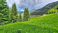 Chalet Marpoêt MRP NATURE & QUIET 6 Pers - B&B Châtel