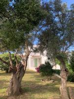 La Balaia - charm and comfort 12 people 9 beds - B&B Albufeira