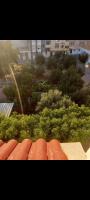 Oumayma - B&B Susa