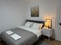 Royal Homolje Zagubica - B&B Žagubica