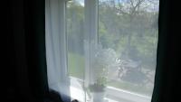 Doppelzimmer mit Gartenblick