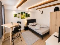 Innsbruck Old Town Studio I 24-7 Self-Check-in - Ferienwohnung Innsbruck