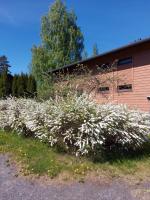 Kiurun Villas - B&B Imatra