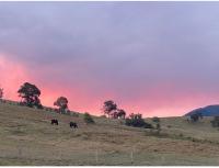 Tangory Farmstay - B&B Glendon Brook