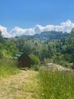Altaluna tiny house sotto le stelle - B&B Trebbiantico